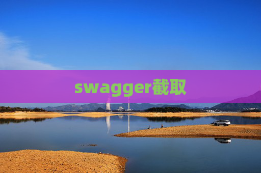 swagger截取